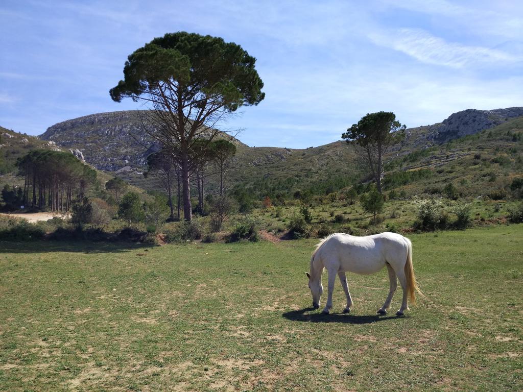 Apartamento Lliris Sol L'Estartit Exteriér fotografie